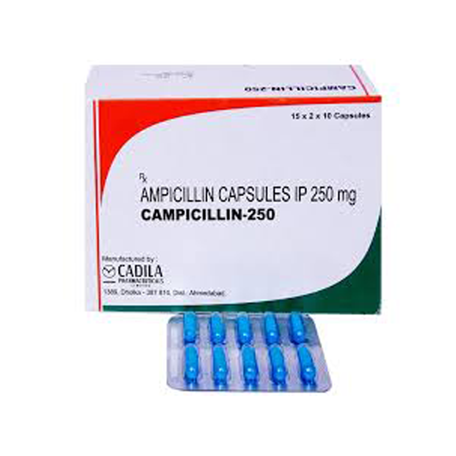 CAMPICILLIN-250